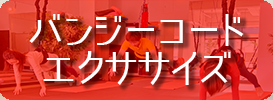 バンジーコードエクササイズ